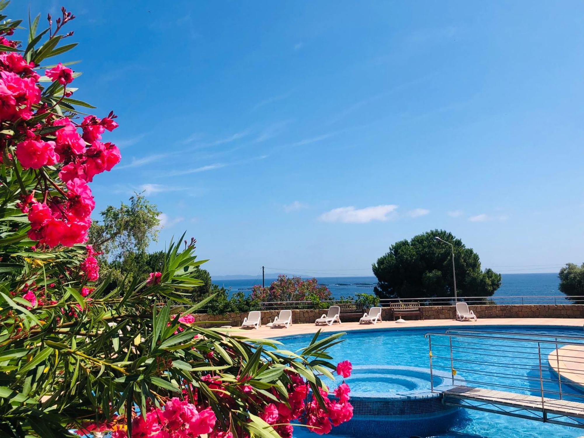 Evasion Corse - T2 Vue Mer, Piscine & Plage Ajaccio  Exterior foto